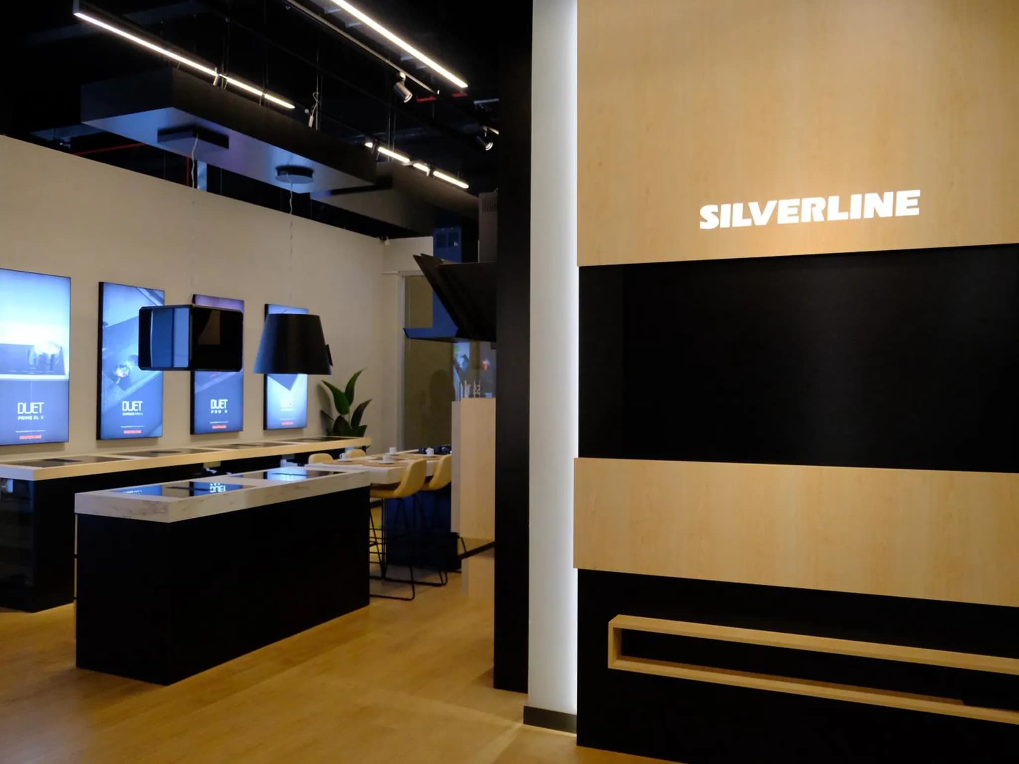 SILVERLINA — SILVERLINE — 14
